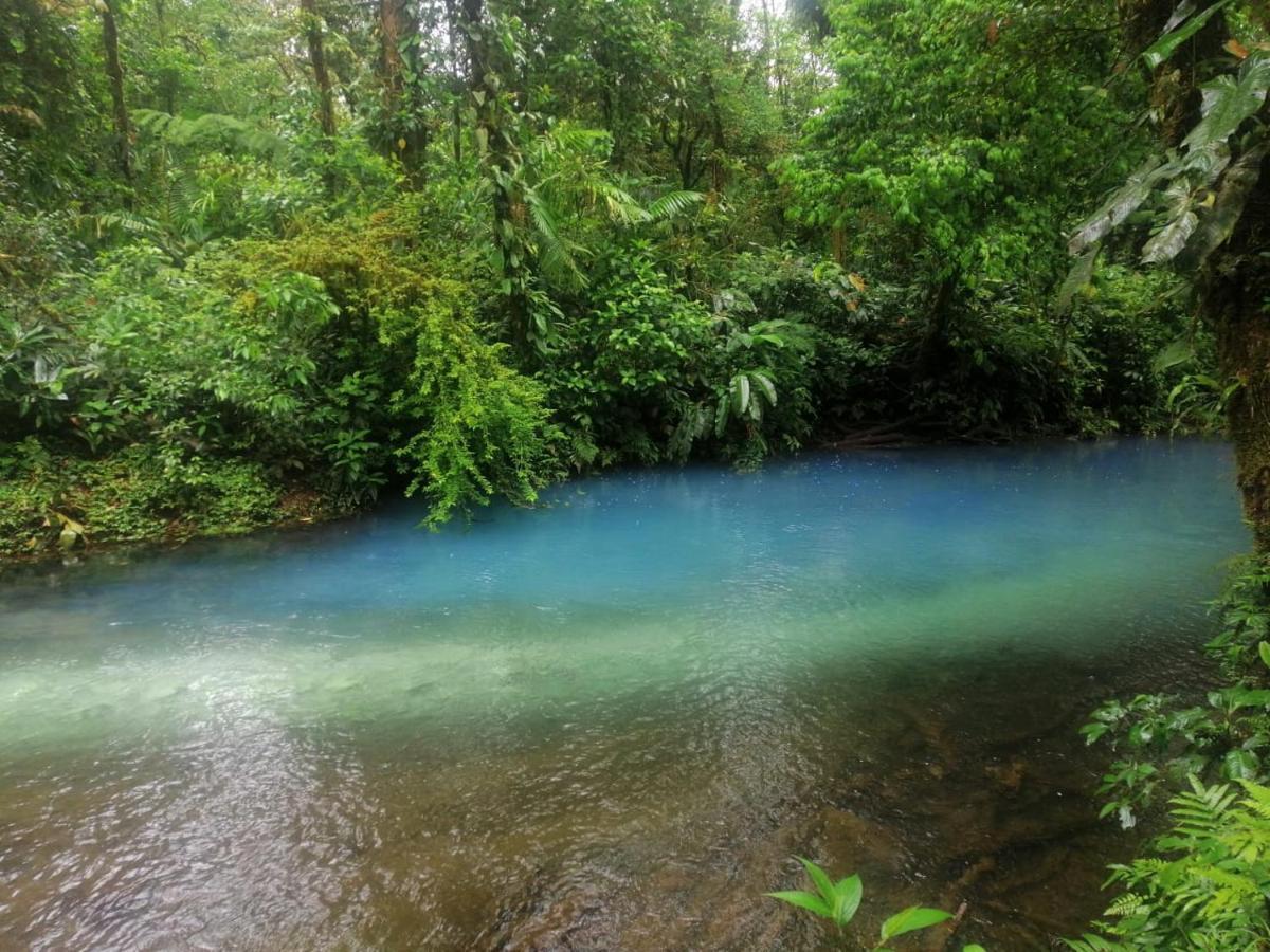 Bed and Breakfast Posada Rio Celeste In Exterior foto